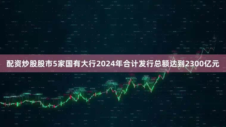 配资炒股股市5家国有大行2024年合计发行总额达到2300亿元