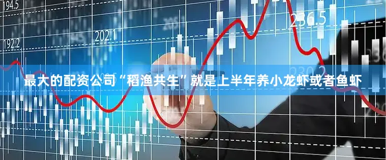 最大的配资公司“稻渔共生”就是上半年养小龙虾或者鱼虾